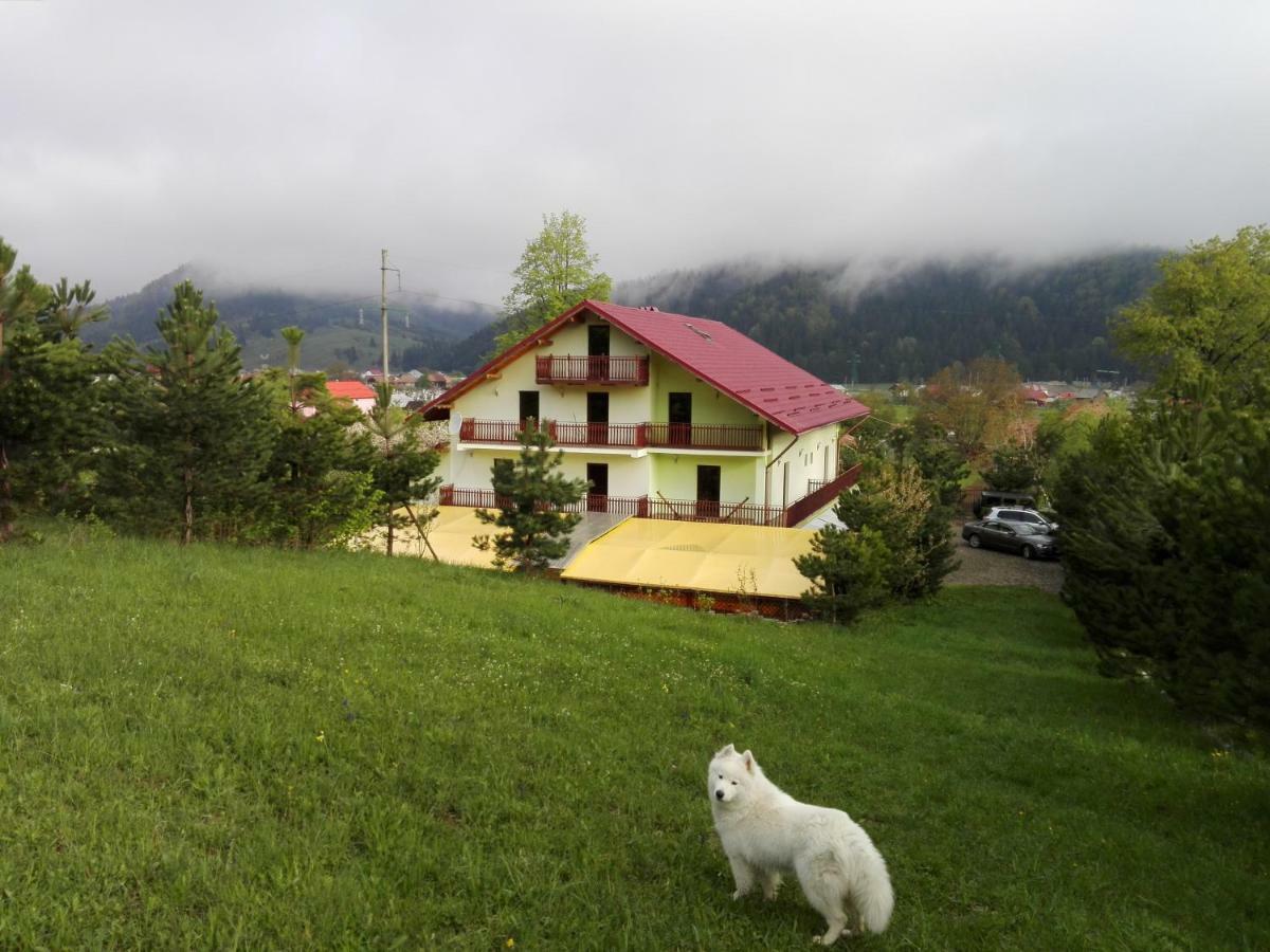 Grandemi Belvedere Bucovina Frasin Bagian luar foto